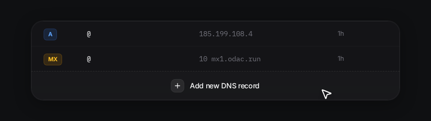 DNS Records Table showing active records and Add placeholder