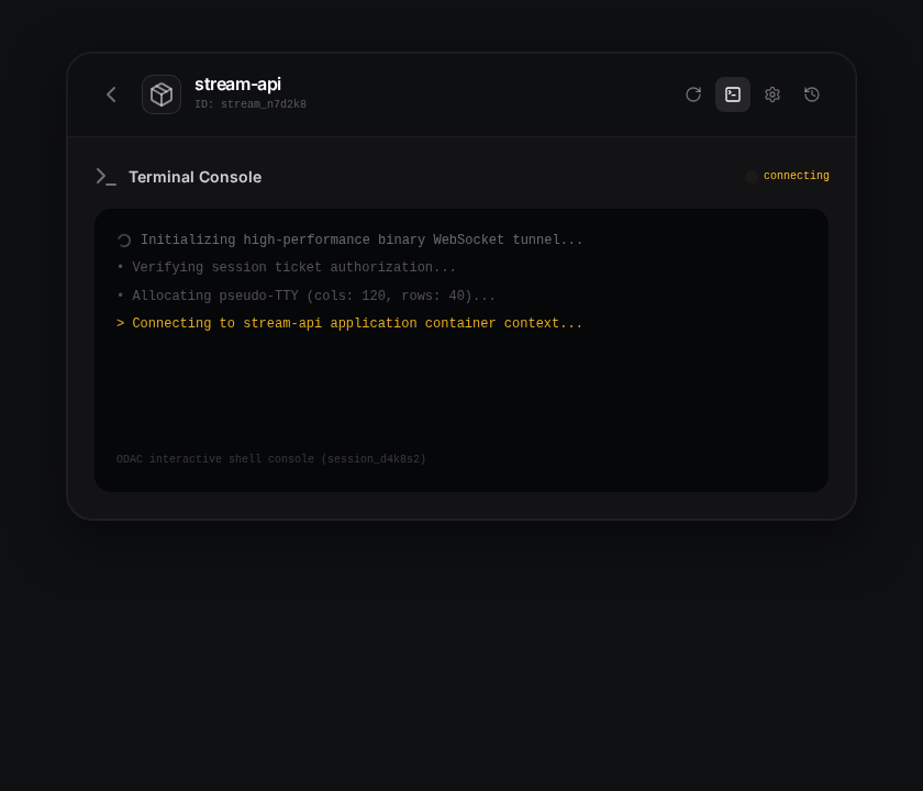 Initializing browser-based terminal connection in the stream-api settings drawer.