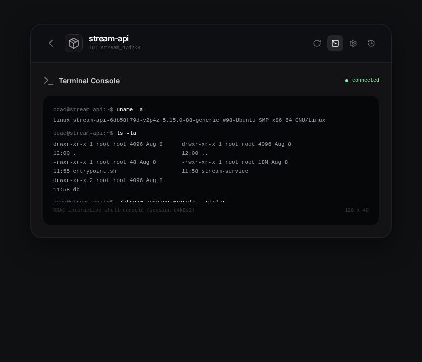 Active interactive terminal session inside stream-api container executing commands.