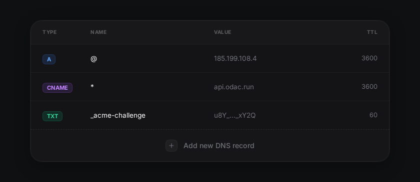 DNS records table showing wildcard CNAME resolution